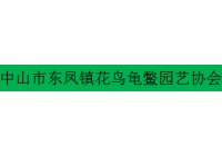 东凤镇花鸟龟鳖园艺协会
